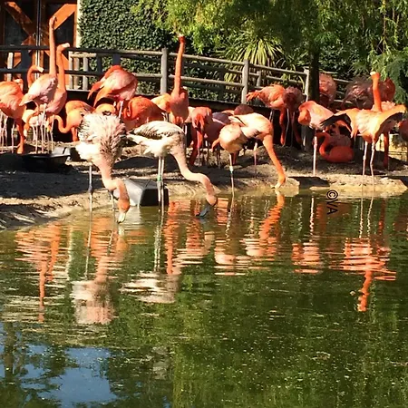 2ch - Air Conditioning - Wifi - Swimming Pool And Jacuzzi Open Year Les Mathes