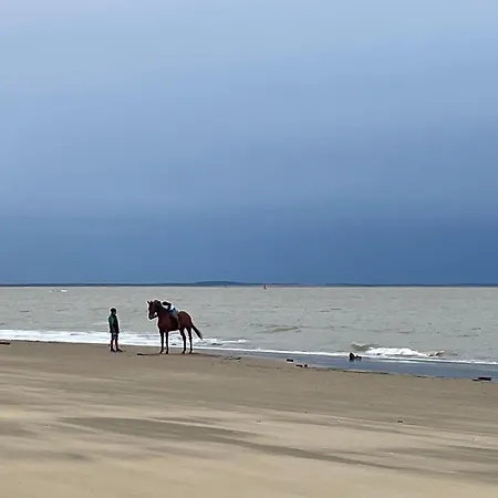 2ch - Air Conditioning - Wifi - Swimming Pool And Jacuzzi Open Year Les Mathes