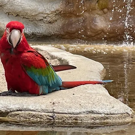 2ch - Air Conditioning - Wifi - Swimming Pool And Jacuzzi Open Year 4* Les Mathes