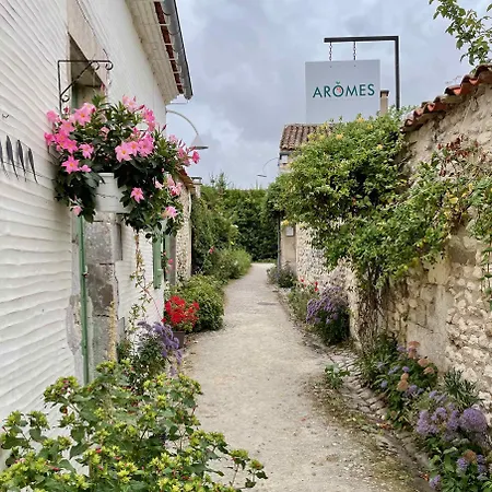 2ch - Air Conditioning - Wifi - Swimming Pool And Jacuzzi Open Year 3* Les Mathes