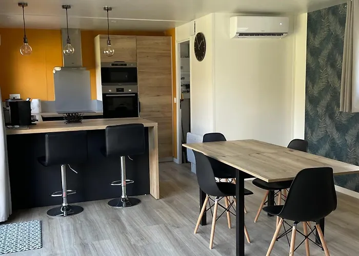 2ch - Air Conditioning - Wifi - Swimming Pool And Jacuzzi Open Year 4*